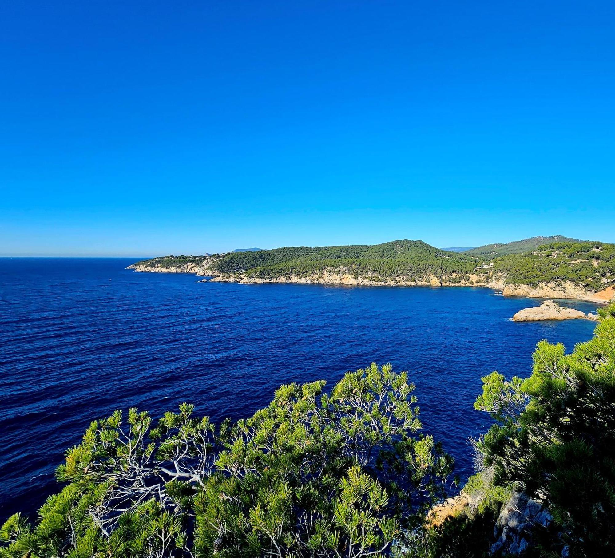 Superbe Appartement Dans Cadre D'Exception - Piscine, Plage Et Tennis Prive Bandol Kültér fotó