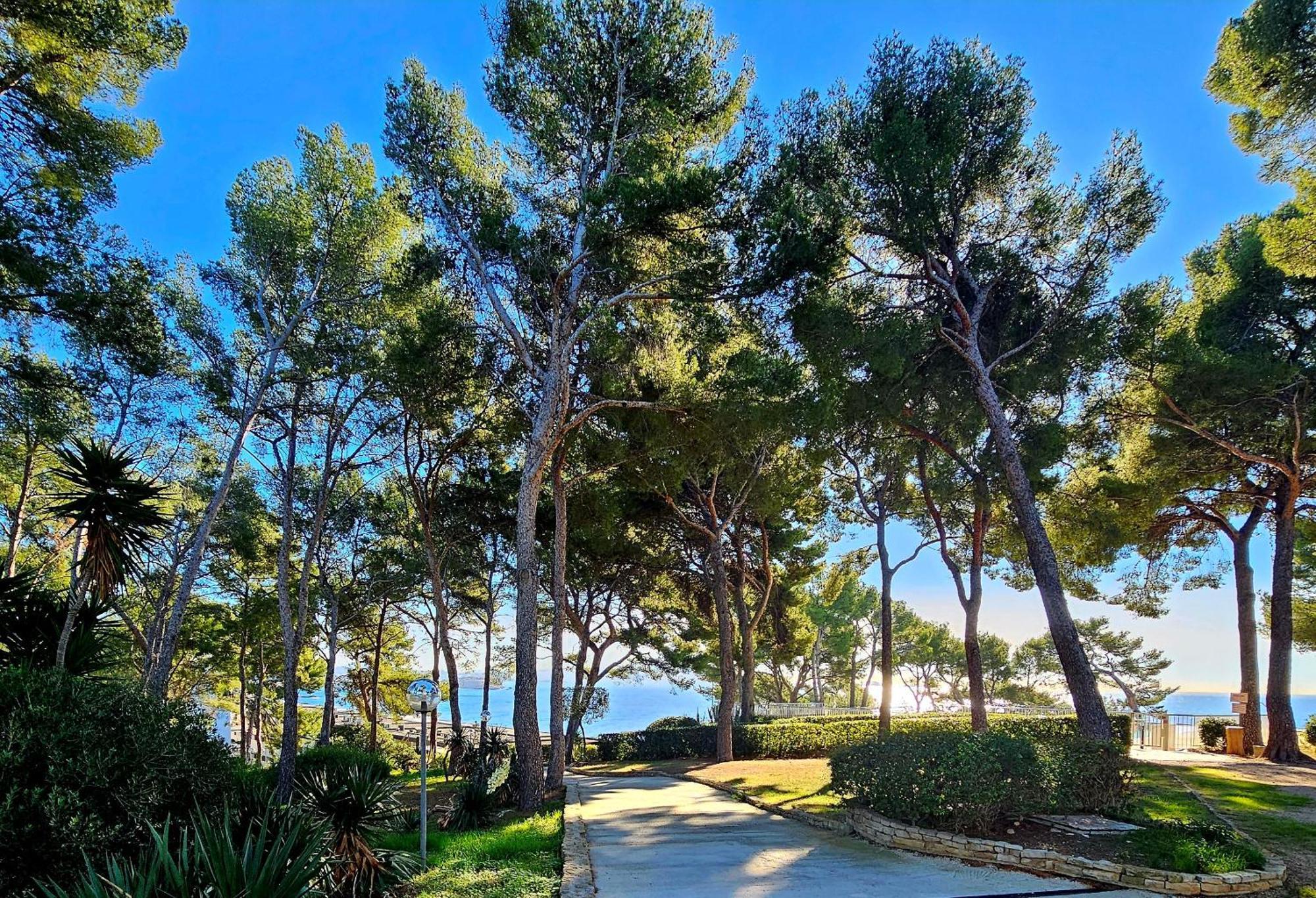 Superbe Appartement Dans Cadre D'Exception - Piscine, Plage Et Tennis Prive Bandol Kültér fotó